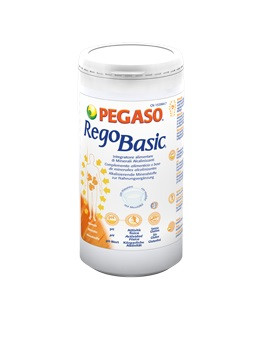 REGOBASIC POLVERE 250G