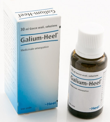 GALIUM 30ML GTT HEEL