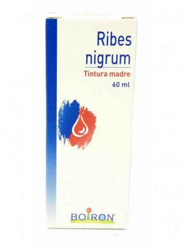 RIBES NIGRUM 60ML TM