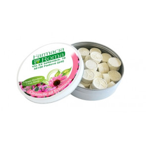 CARAMELLE ECHINACEA SC50G