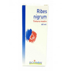 RIBES NIGRUM 60ML TM